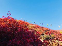 -周口店坡峰岭风景区