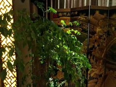 -莱仪堂艾灸经络养生馆(武威东路店)