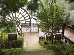 -重庆彩云湖湿地公园