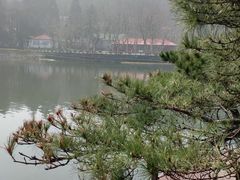 -庐山风景区花径公园