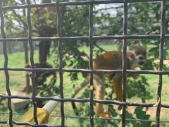 -石家庄市动物园