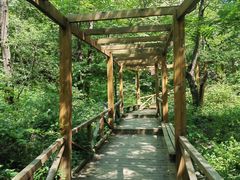 -大岭沟猕猴桃谷风景区