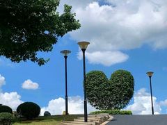 -东莞植物园