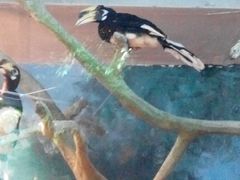 -福州罗源湾海洋世界旅游区