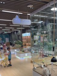 -小象动悟公园(龙湖亦庄天街店)