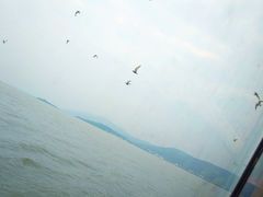 -太湖游船(石公山码头)