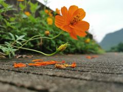 -Club Med地中海俱乐部·桂林度假村