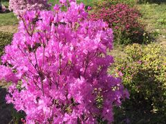 -南通洲际绿博园