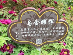 -洛阳市隋唐城遗址植物园