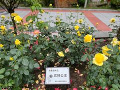 -重庆园博园