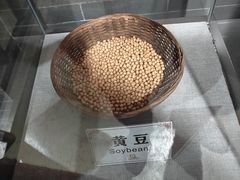 -九江双蒸博物馆