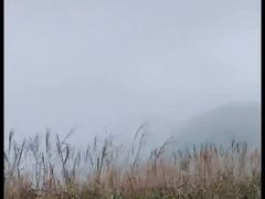 -银瓶嘴森林公园