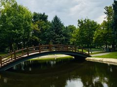 -五营红松林海景区