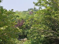 -石家庄市动物园