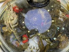-集品鲜湾·蒸汽海鲜自助料理(青岛银座和谐广场店)