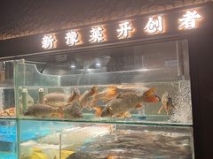 -阿五黄河大鲤鱼(纬三路店)