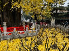 -潭柘寺景区