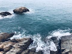 -小麦岛公园