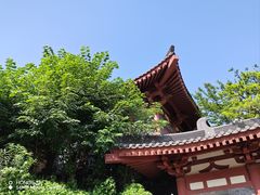 -西安大兴善寺