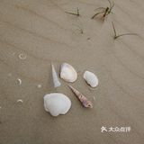假期去哪玩？到湛江南三岛看海刮螺去