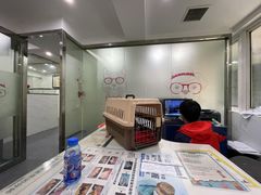 -伟伟宠物医院·CT影像中心·瑞派犬猫综合性门诊(汉口总院)