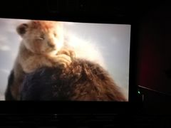 -武汉华夏国际影城(鲁广店)