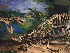 -自贡恐龙博物馆