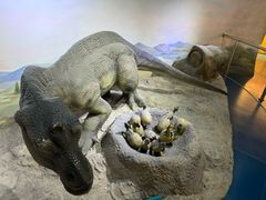 -国家自然博物馆