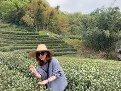 -阿巧茶庄