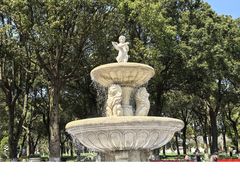-上海鲜花港