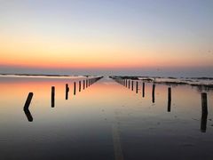 -鄱阳湖国家湿地公园