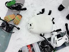 -绍兴启迪乔波冰雪世界