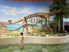 -延庆地质公园博物馆