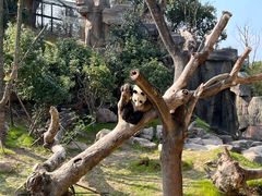 -宁波野生动物园
