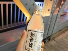 -武汉知音号