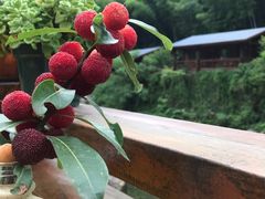 -宁波余姚老柿林山居度假村