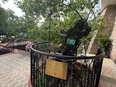 -澳门圣地牙哥古堡酒店