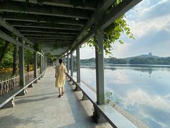 -西湖外事游船(花港观鱼码头)