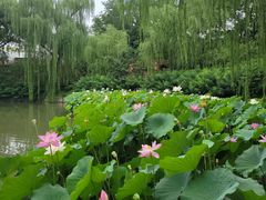 -北京动物园-畅观楼