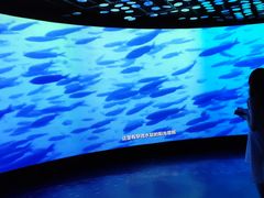 -同济大学四平路校区深海探索馆
