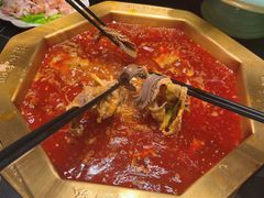 -蜀九香火锅(彩虹店)