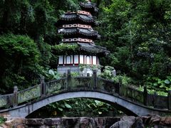 -深圳国际园林花卉博览园