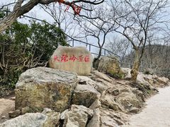 -紫金山山顶公园