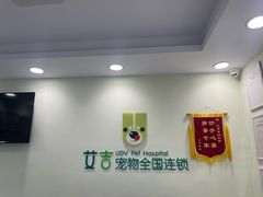 -艾吉宠物医院·疑难杂症转诊中心·猫友好(碧江路院)