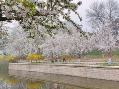 -元大都城垣遗址公园