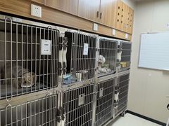 -瑞鹏宠物医院·眼科·皮肤·中兽医(大悦城分院)