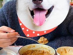 牛肉烩饭-赵小姐丨新中餐(曲江店)