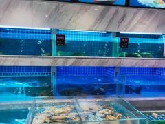 水产区-夜上海(上元大街店)