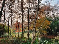 -西溪国家湿地公园