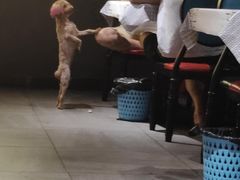 -熊记虾王·小龙虾(东晓南店)